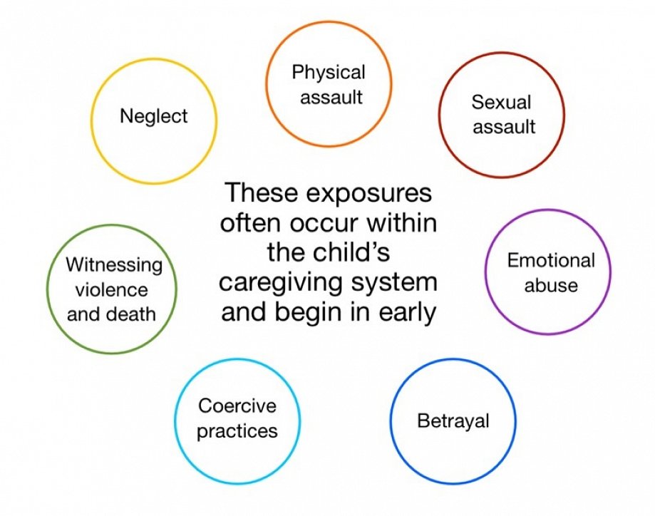 Understanding Developmental Trauma