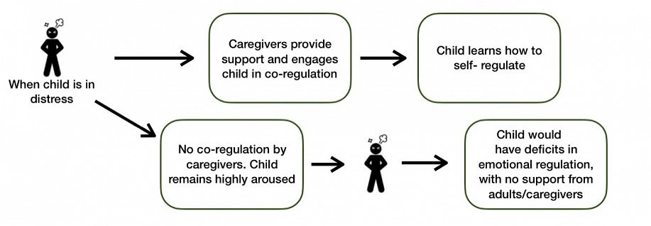 Understanding Developmental Trauma