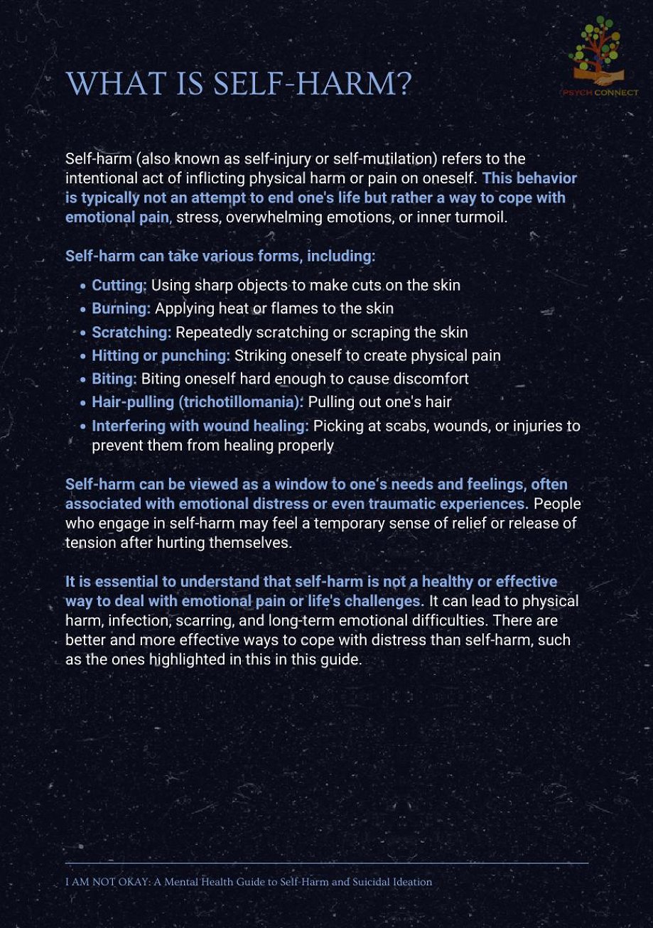 I AM NOT OKAY: A Mental Health Guide for Parents and Caregivers to Self-Harm and Suicidal Ideation